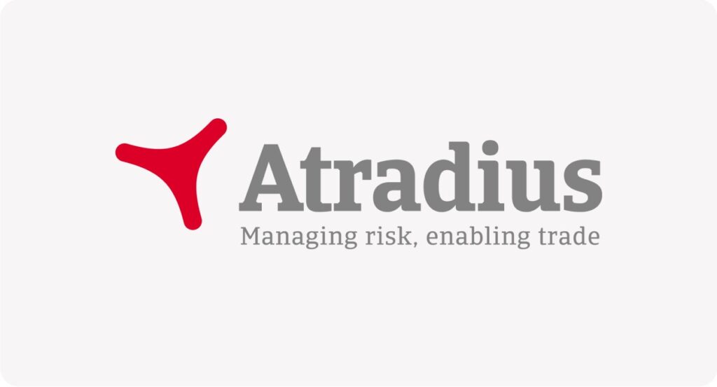 Business Radar logo with red and grey design for SEO.